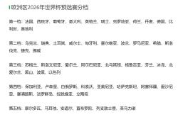 关于欧预赛紧张气氛，球队策略高明，带来胜果的信息