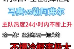 勒弗尔在对阵勒阿弗尔的比赛中表现出色