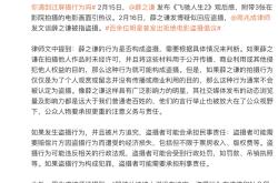 关于VAR判罚再引争议，本泽马对阵阿森纳裁判判点引发巨大争议的信息