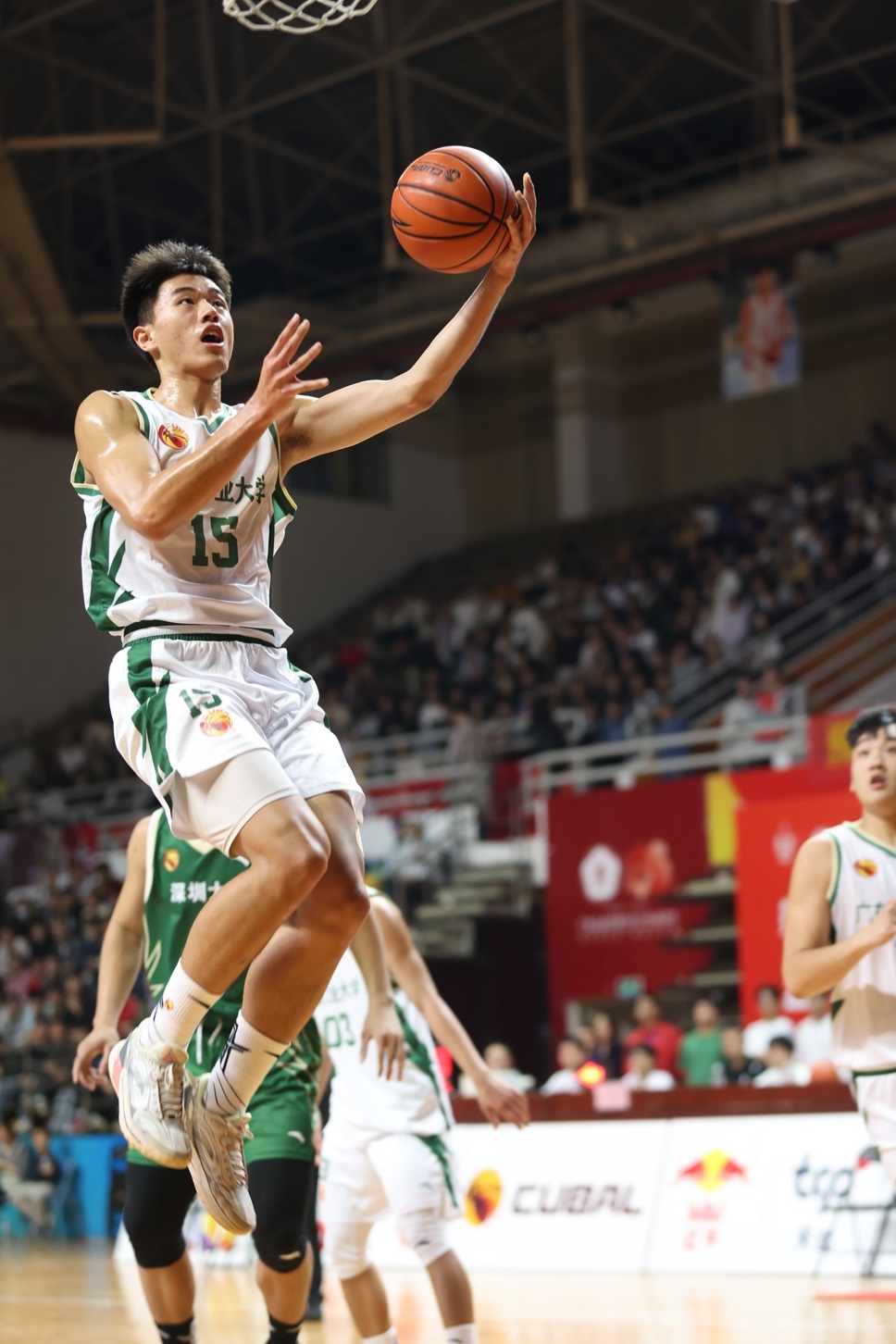 浙江男篮主场击败广东队，信心大增