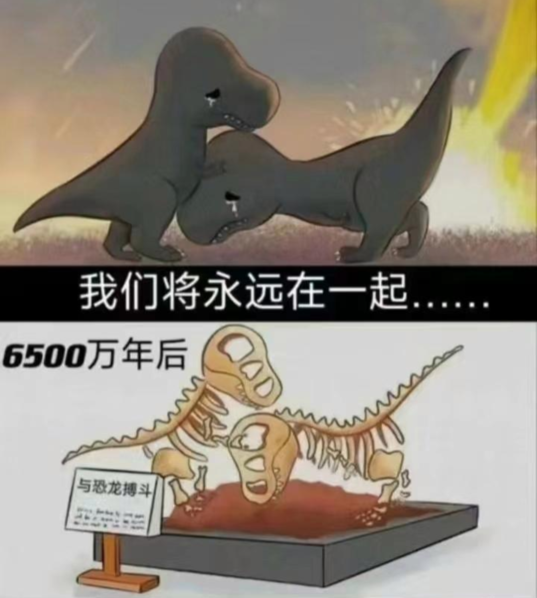 包含难以预测胜负的比拼，惊心动魄的一幕的词条