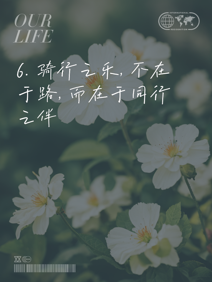 布里斯班热情拥抱胜利，前进之路平步青云