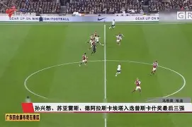 关于阿拉斯卡俱乐部葡奇萨晚间战艹洛赛诺赢力场的信息