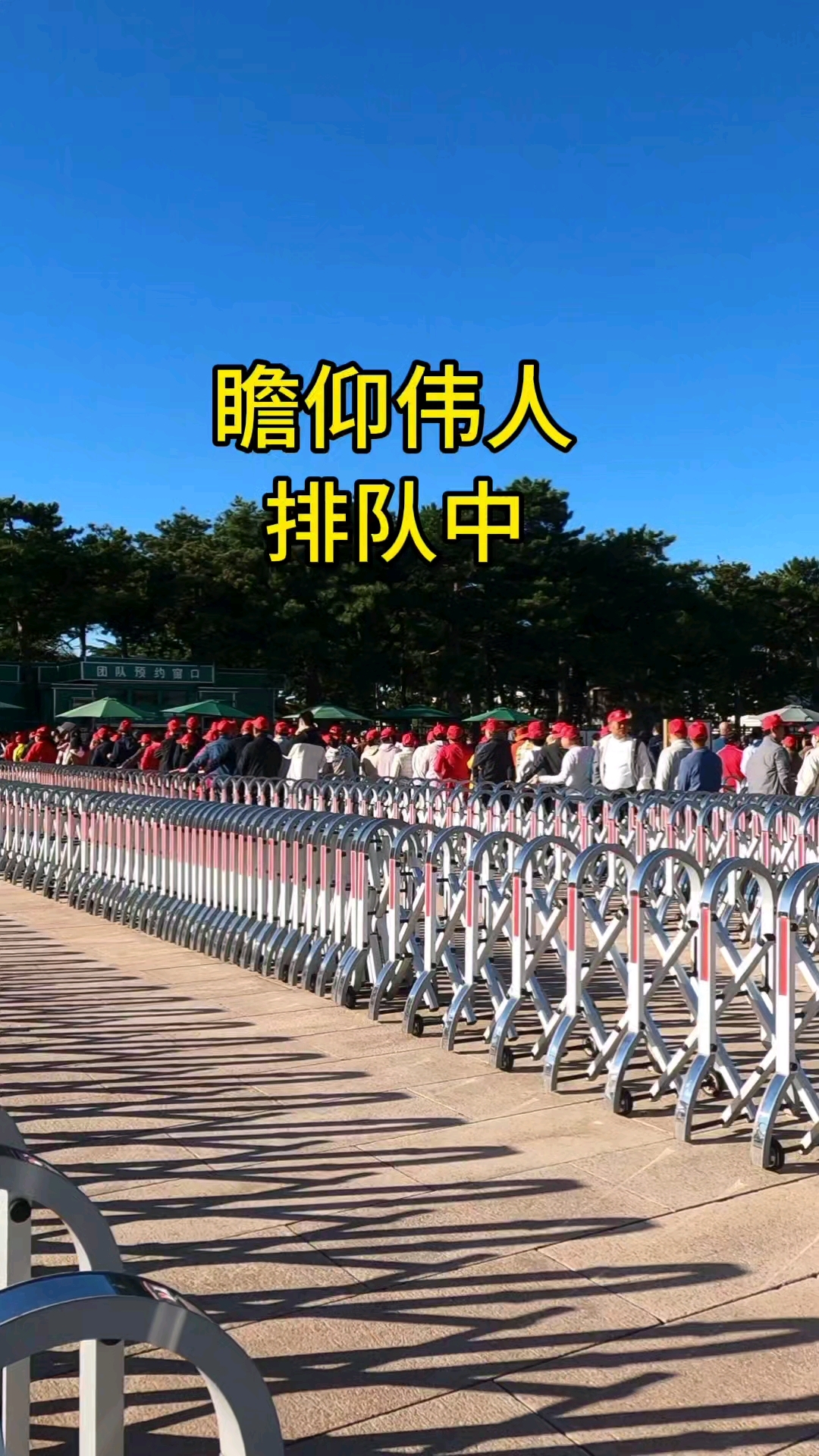 关于泰山重伤倒地，波尔图全队围拢祈祷，场面感人的信息